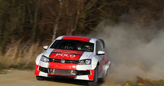 Testy Polo Proto